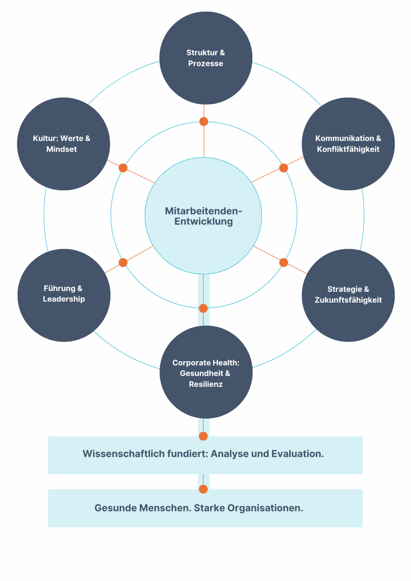 Ein Diagramm zeigt zentrale Kreise mit den Themen: „Struktur & Prozesse“, „Kommunikation & Konfliktfähigkeit“, „Strategie & Zukunftsfähigkeit“, „Corporate Health“, „Führung & Leadership“ und „Kultur: Werte & Mindset“ um „Mitarbeitenden-Entwicklung“. Unten steht: „Wissenschaftlich fundiert: Analyse und Evaluation. Gesunde Menschen. Starke Organisationen.“.