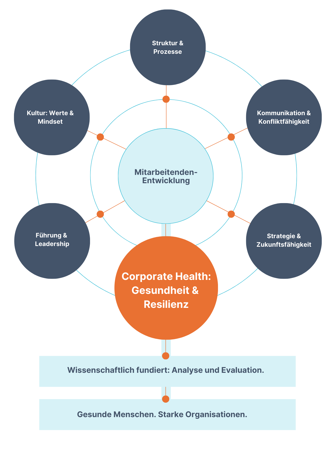 Diagramm zur Mitarbeitenden-Entwicklung. Zentraler Kreis mit sechs verbundenen Themen: Struktur & Prozesse, Kommunikation & Konfliktfähigkeit, Strategie & Zukunftsfähigkeit, Gesundheit & Resilienz, Führung & Leadership, Kultur: Werte & Mindset. Darunter Text: "Wissenschaftlich fundiert: Analyse und Evaluation. Gesunde Menschen. Starke Organisationen."