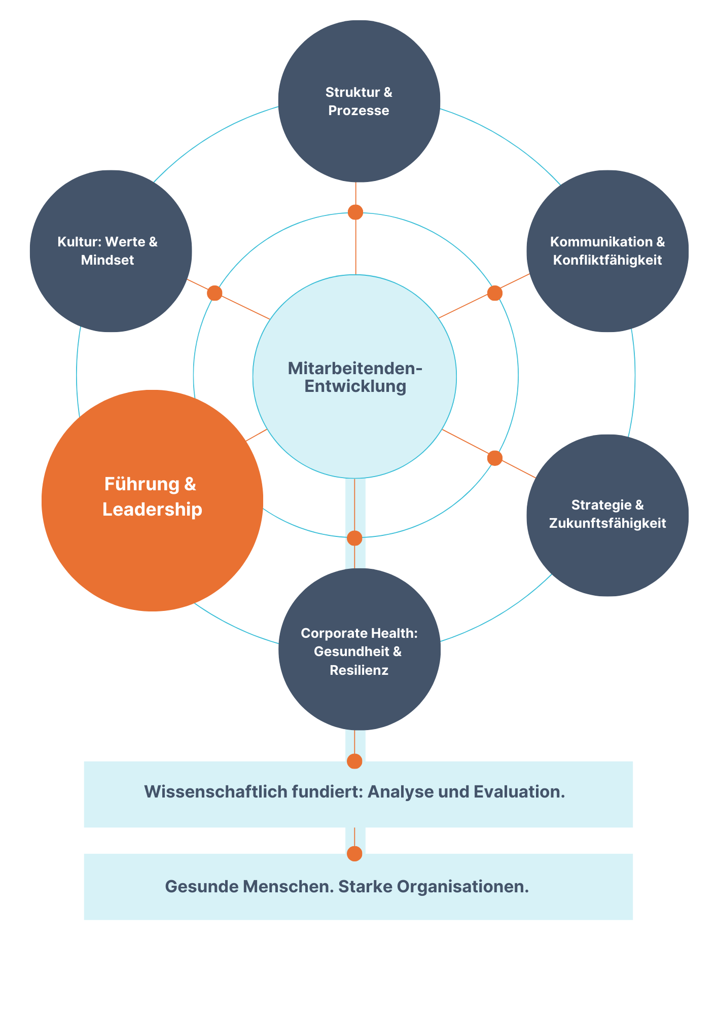 Unser Modell-Leadership Diagramm zur Mitarbeitenden-Entwicklung. Zentraler Kreis mit sechs verbundenen Themen: Struktur & Prozesse, Kommunikation & Konfliktfähigkeit, Strategie & Zukunftsfähigkeit, Gesundheit & Resilienz, Führung & Leadership, Kultur: Werte & Mindset. Darunter Text: "Wissenschaftlich fundiert: Analyse und Evaluation. Gesunde Menschen. Starke Organisationen."